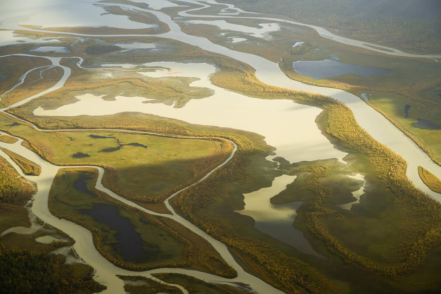 Rapadalen Valley detail.