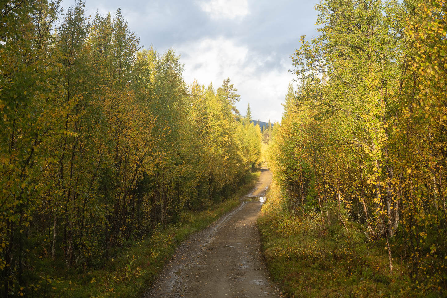 Dirt road to Cykelstigen