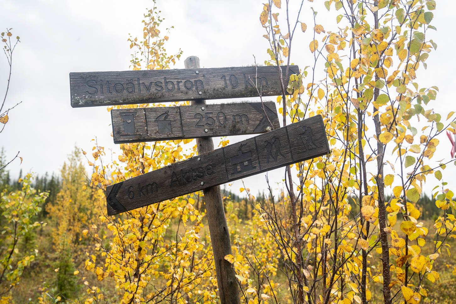 Teail signs in the Sarek National park