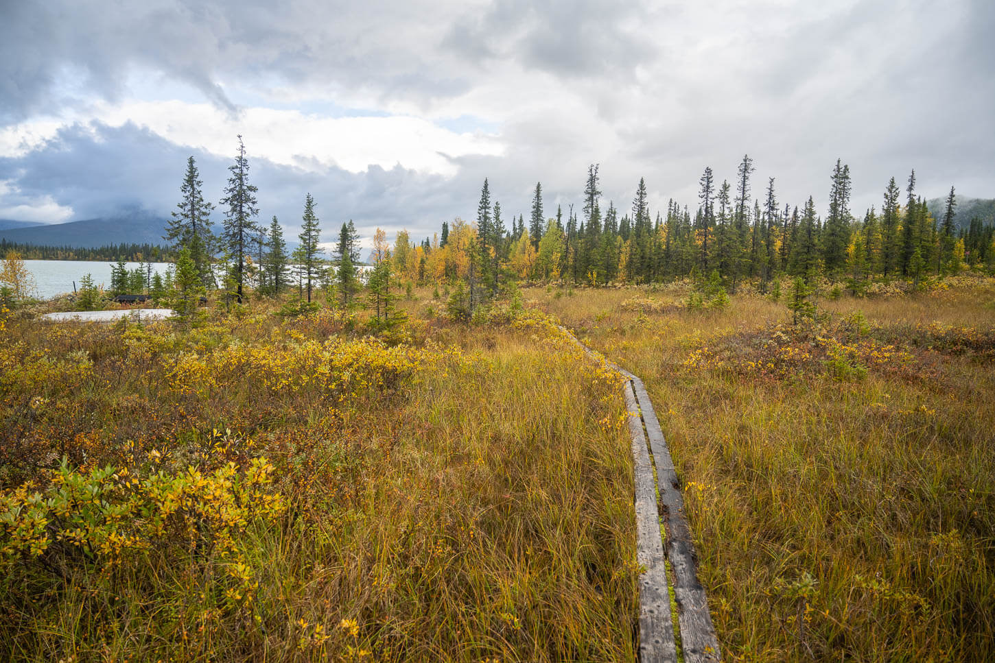 Boardwalks to Aktse Hut.