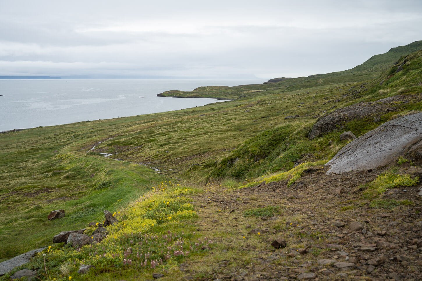 Hiking Trail to Mongufoss in the Westfjords