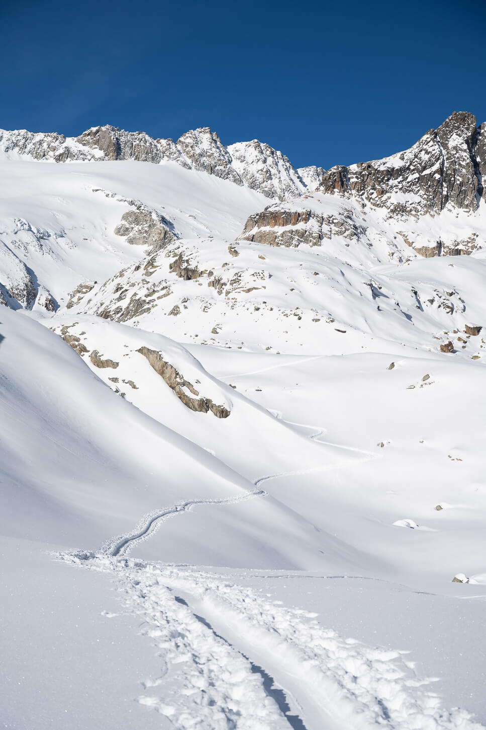 Snowshow Hiking trail like on an immacculate snowy landscape on a sunny day