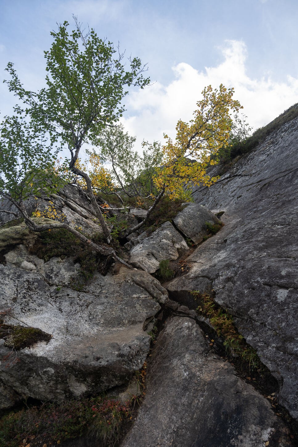 Steep scrambling section on the hiking trail to Litlverivassforsen.