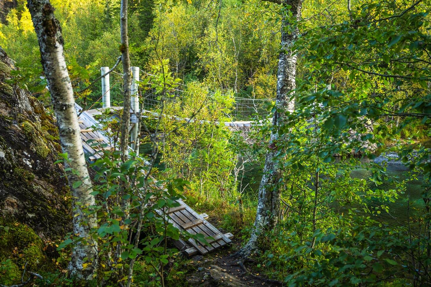 Suspension bridge across a river in the Rago national Parkl
