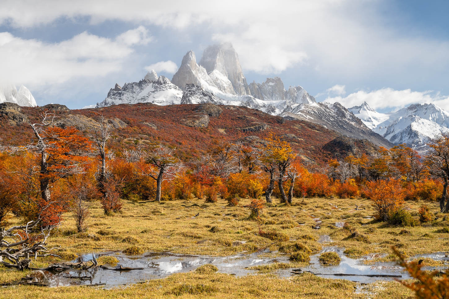 View of the FItz Roy mountain emergin above colorful lenga trees in autumn.