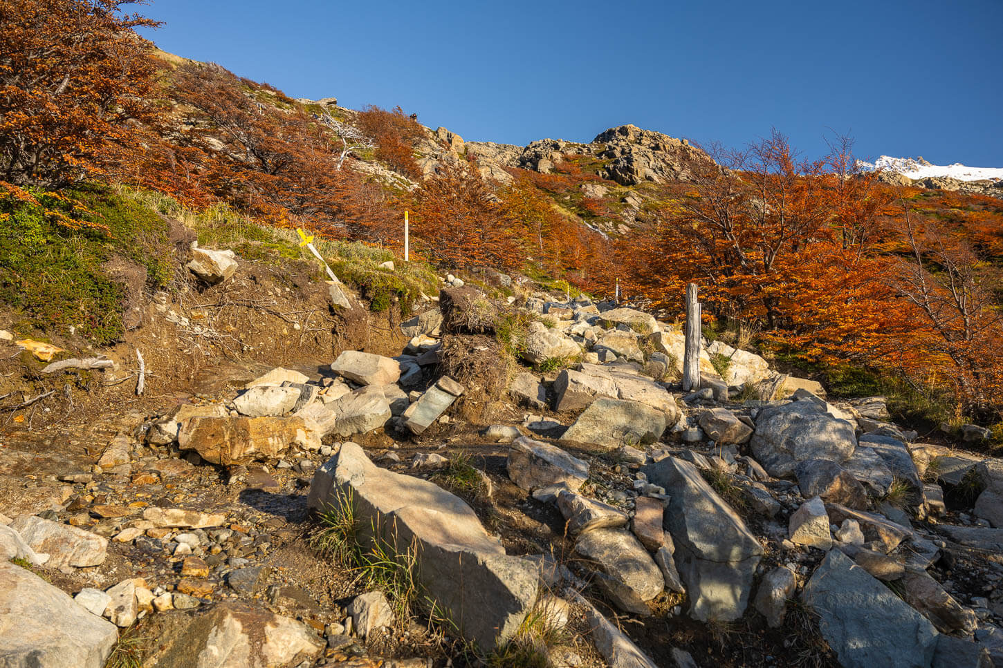 Section of the last km of the hike to Laguna de los tres, with loose rocks, exposed roots, and debris on the trail.
