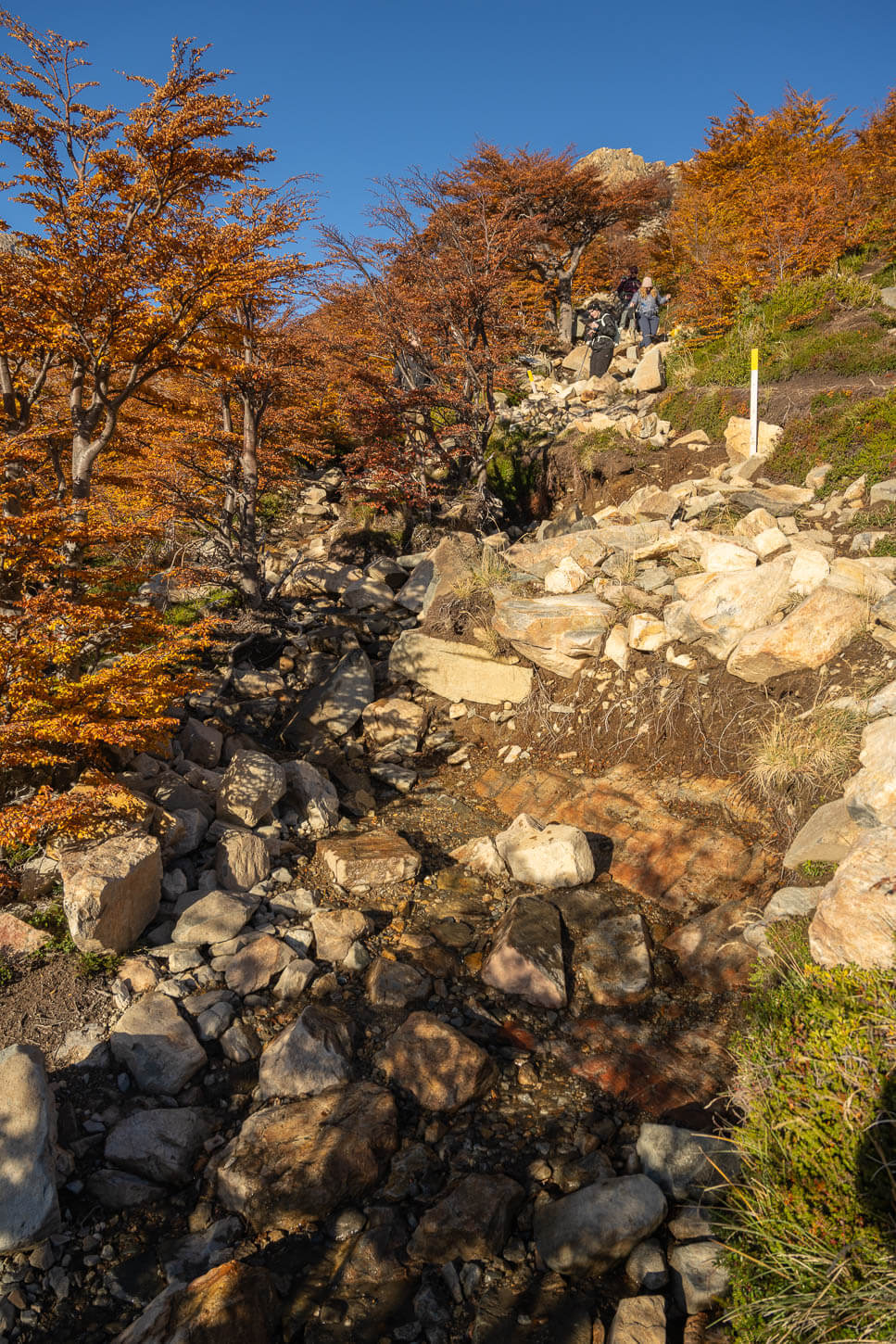 Section of the last km of the trail to Laguna de los tres, with loose rocks, exposed roots, and debris on the trail.
