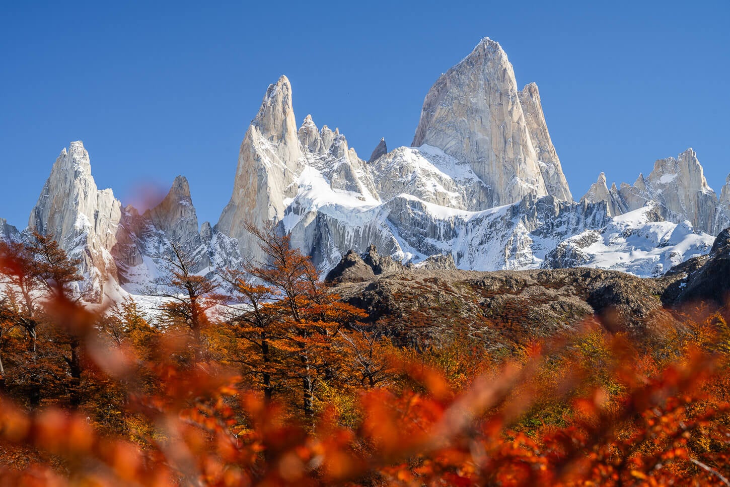 View of the Fitz Roy peaks from the trail to Laguna de los Tres in autumn, with the peaks between bright blue skies and the vibrant red leaves of the Lenga trees.