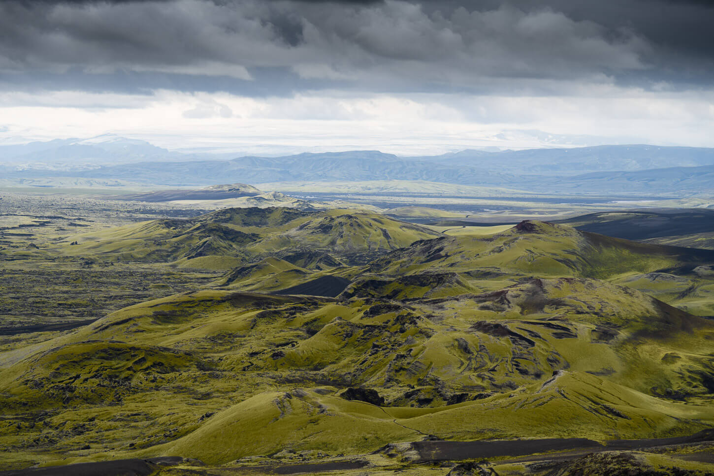 endless lava fields covered in moss in the highlands of iceland.