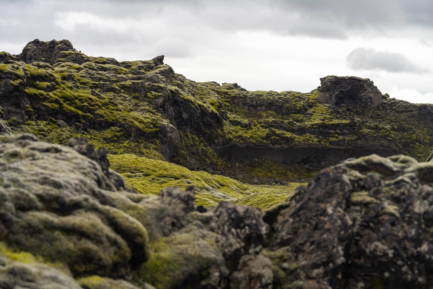 view of a lava field covere din gree moss aling the Tjarnargígur Crater hiking trail