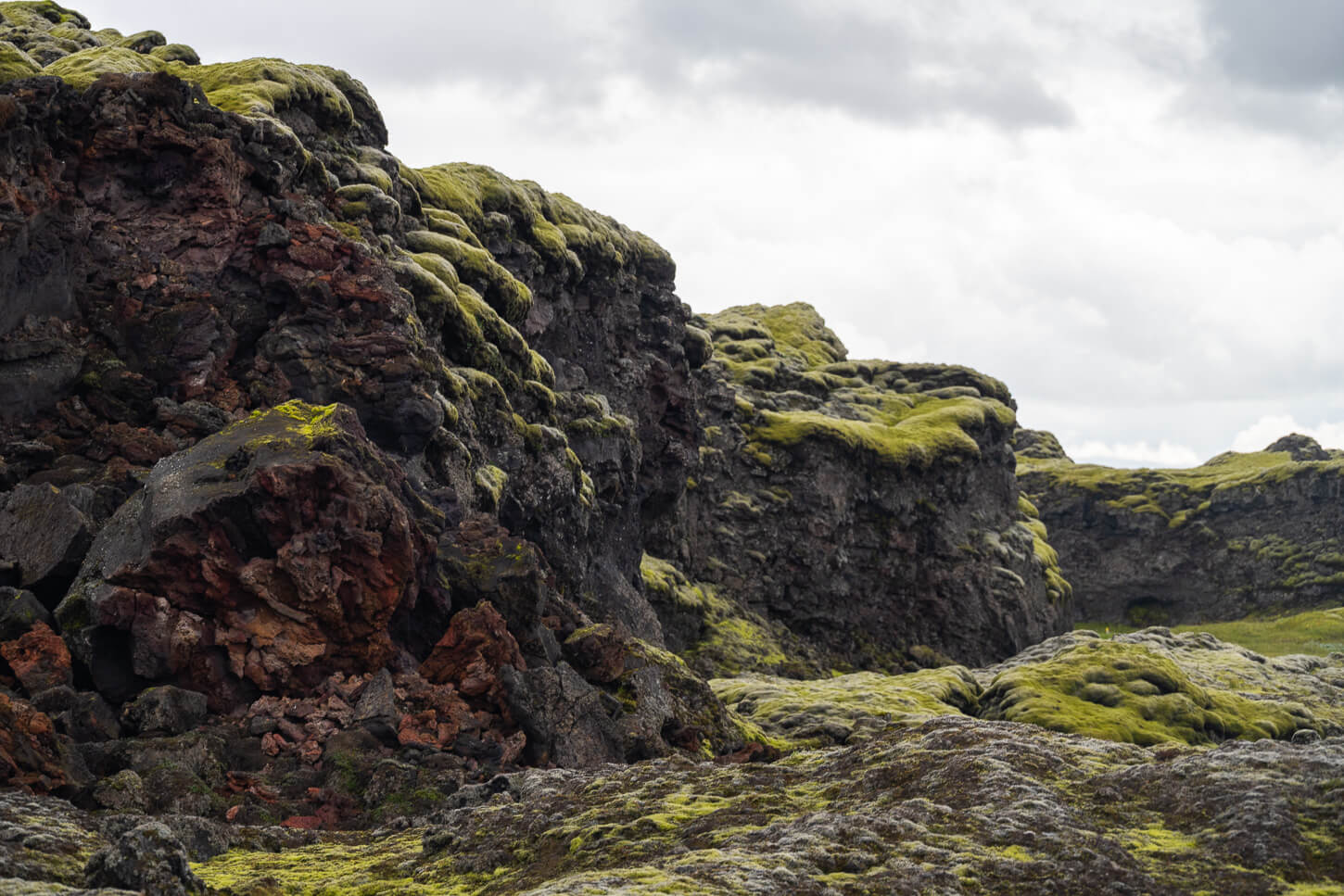 Basaltic lava field covere din green moss in the highlands of iceland.