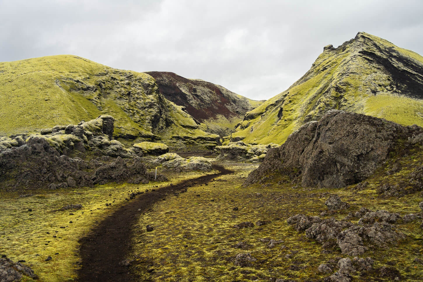 Hiking trail across a lava field in the Lakagigar area.