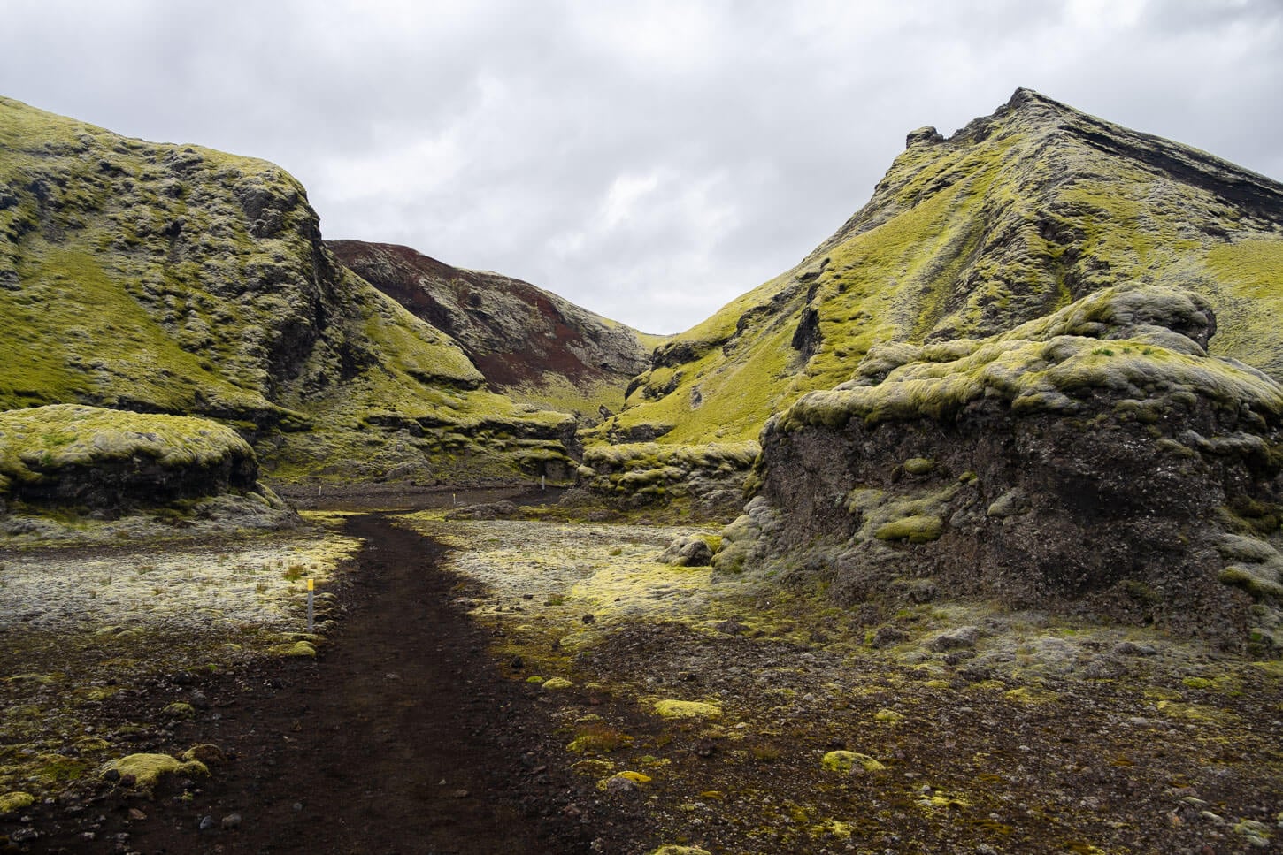 Tjarnagígur hiking trail leading into a moss covered. crater