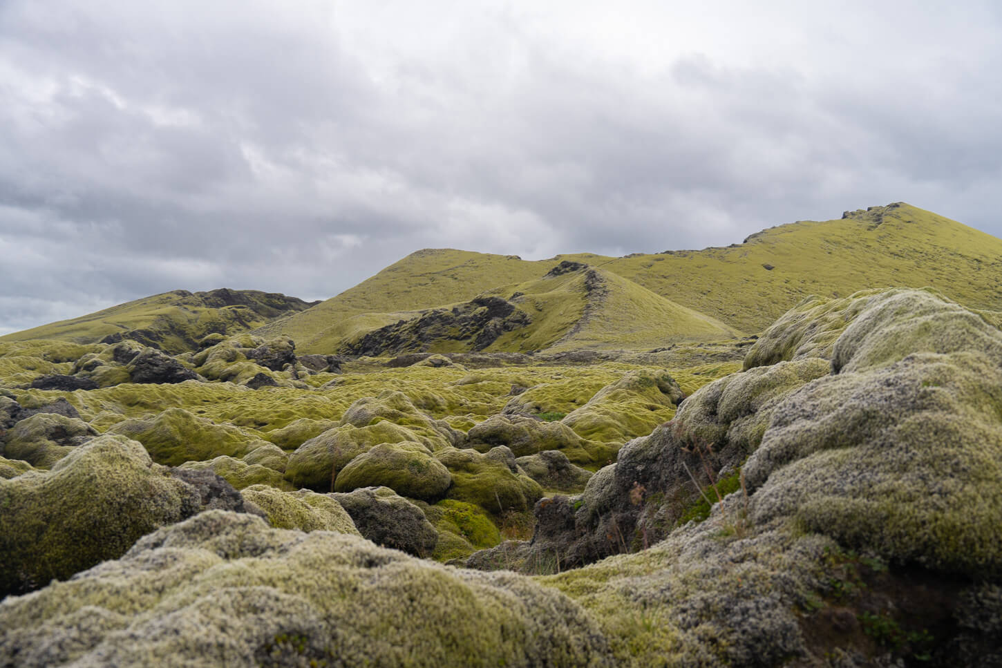 Volcanic hills and boulders covered in green moss.