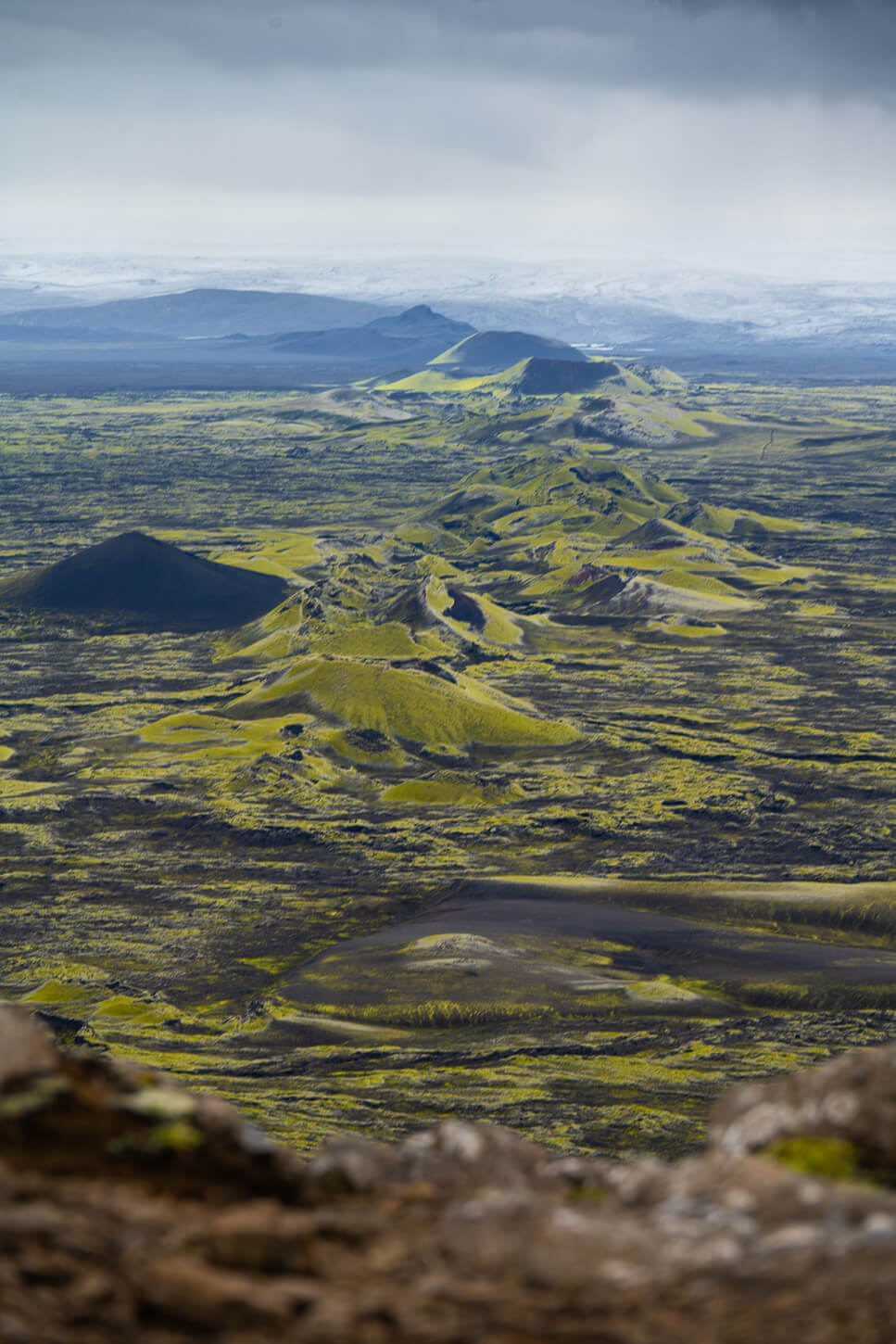 moss covered landscape with a glacier in the backgrounf in the highlands of iceland near the Laki craters