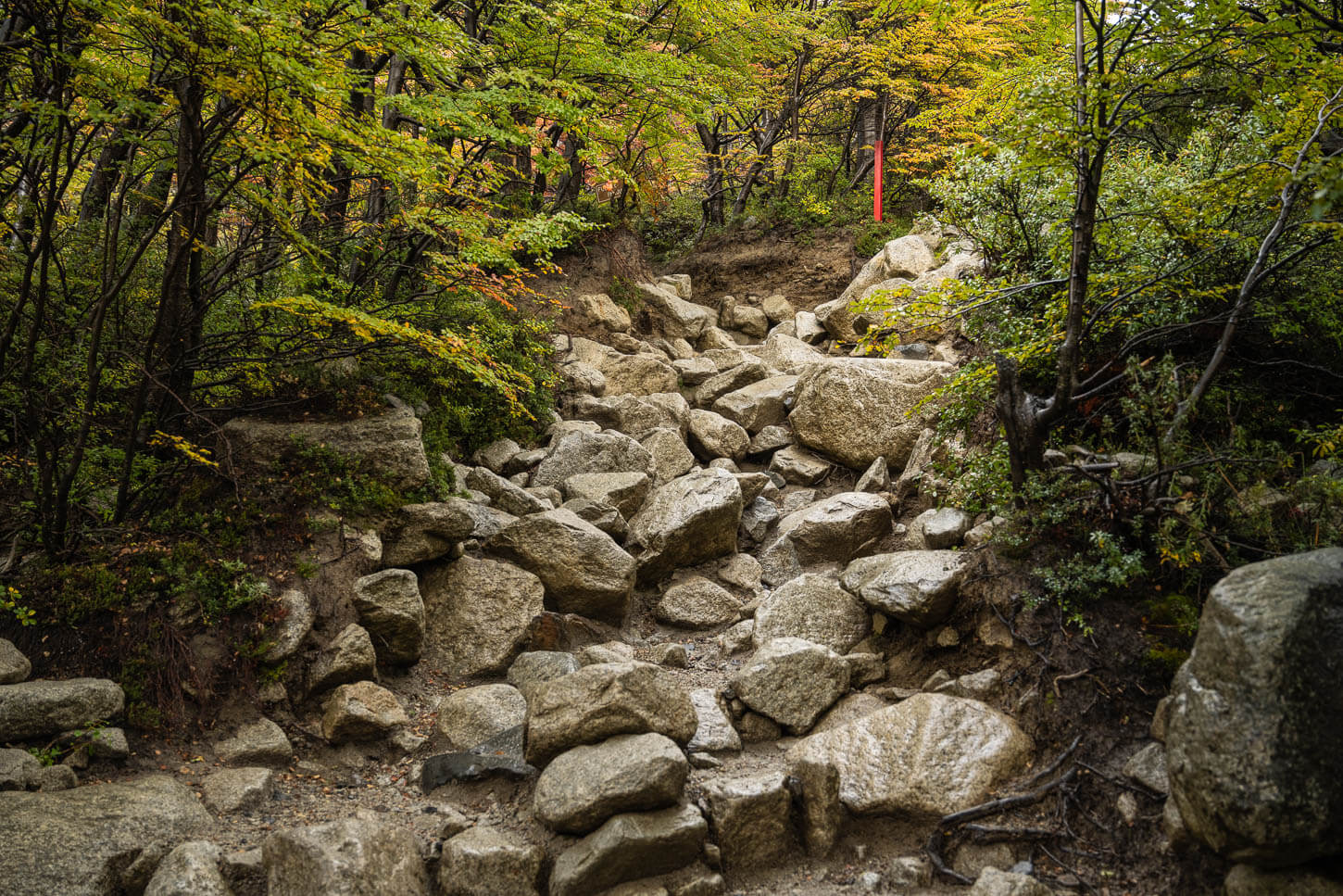Big boulders on the trail.