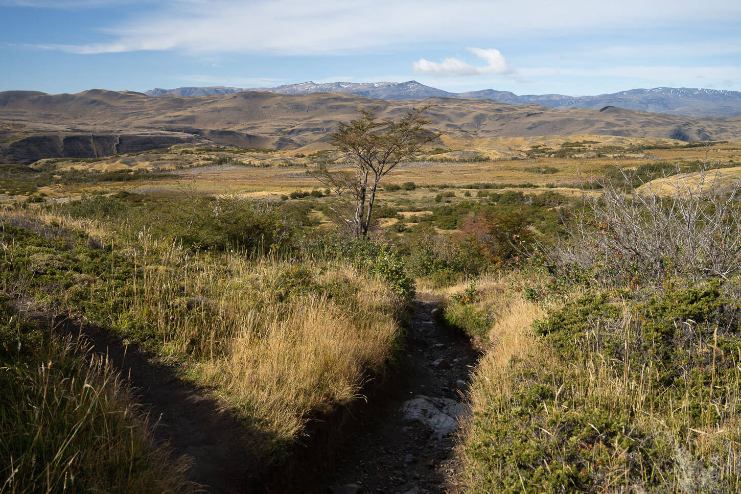 View of the hill around the Base Torres trail