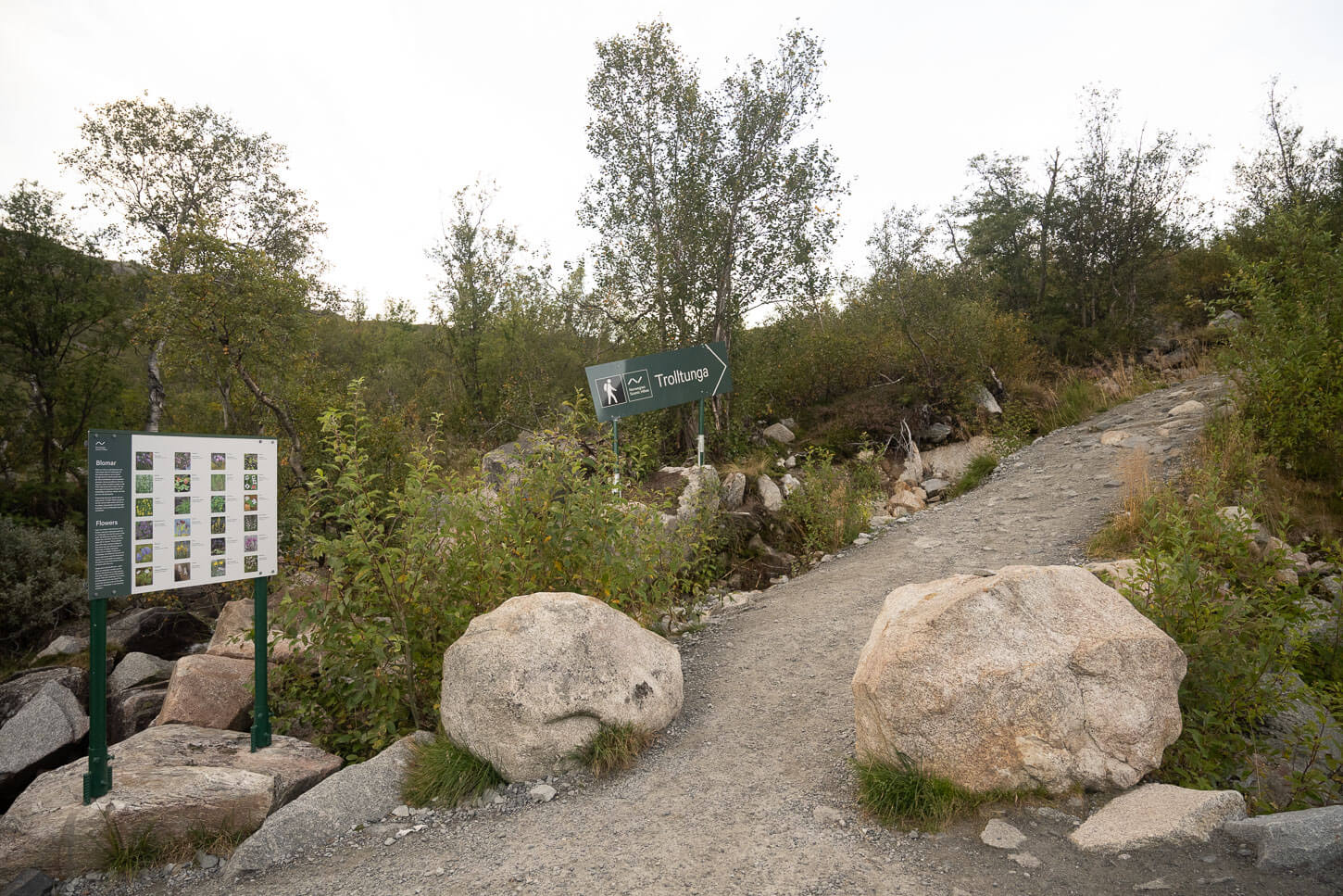 Trolltunga Trailhead from P3