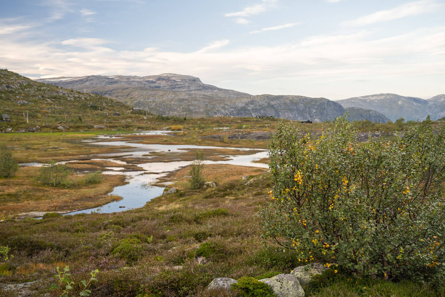 boggy plateau at the beginning of the hike to Trolltunga