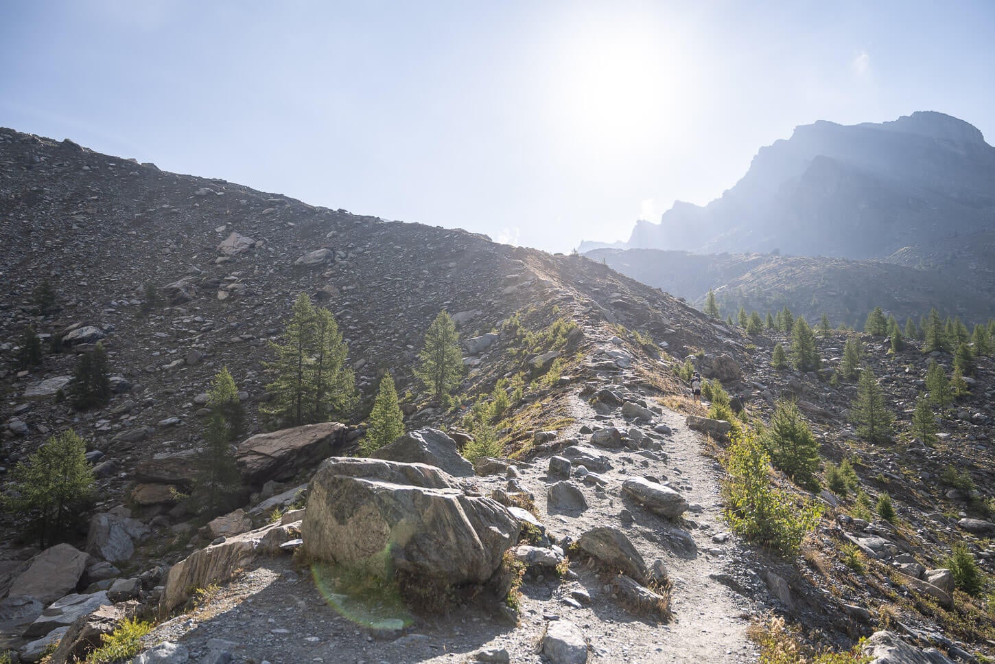 Hiking trail to Rofugio Mezzalama, on a Morainic deposit, in the light of the early morning sun.