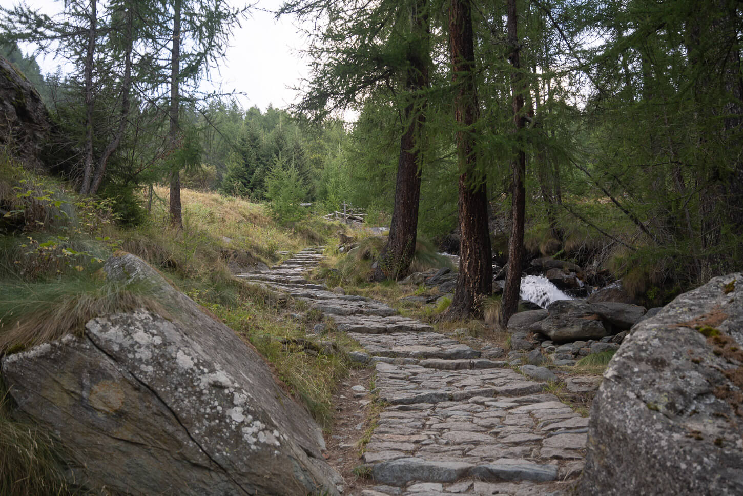 Stone Path in the forest near Saint jacques in Val D'Aosta,