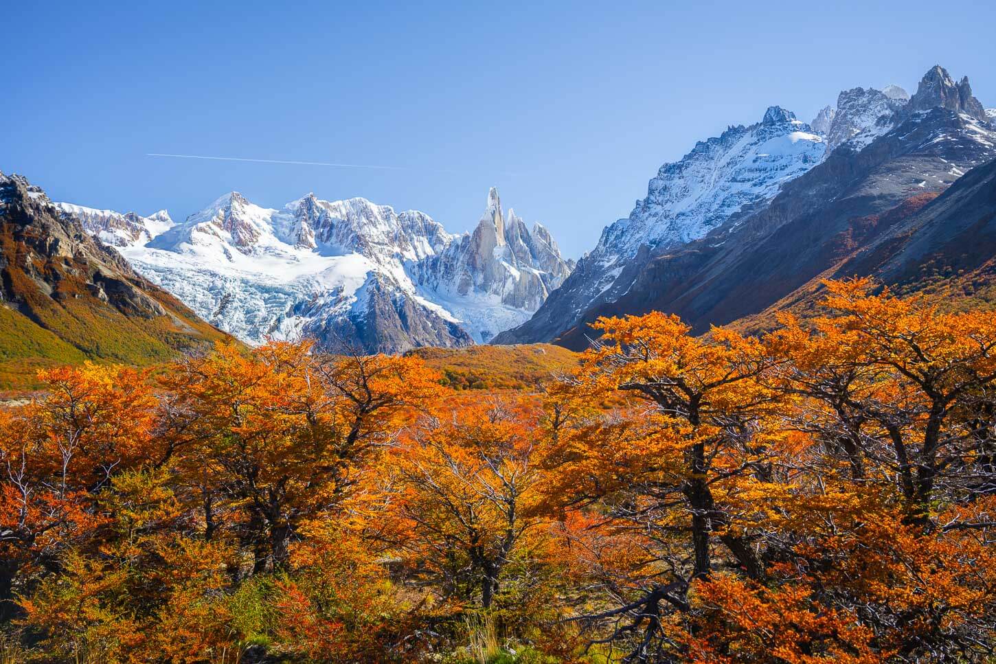 Autumn colors in Patagonia, with orange read leaves on the trees, under a vibrant blue sky