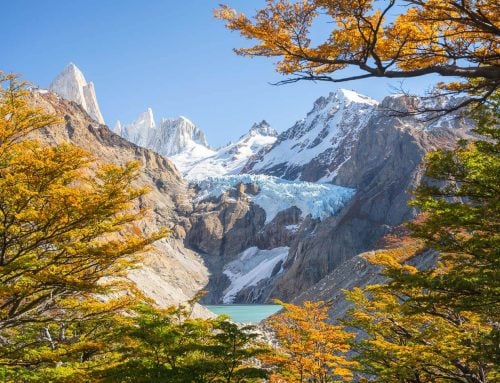 Hike to Mirador Piedras Blancas: Easy Trail, Beautiful Glacier