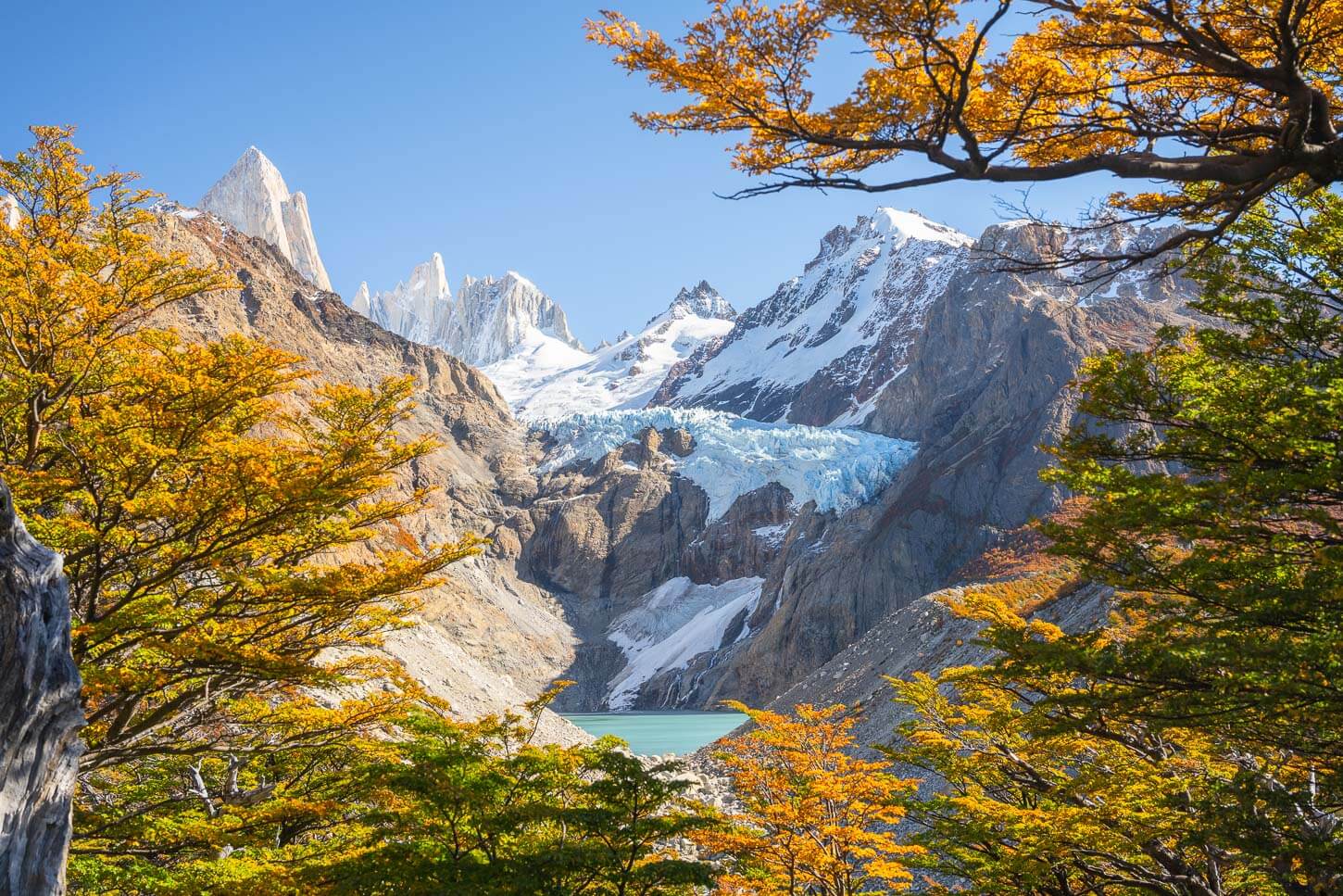 Mirador piedras Blancas Viewpoint at the end of the hike, with the hanging glacier in the distance, framed by the vibrant coloros of lenga trees in Autumn