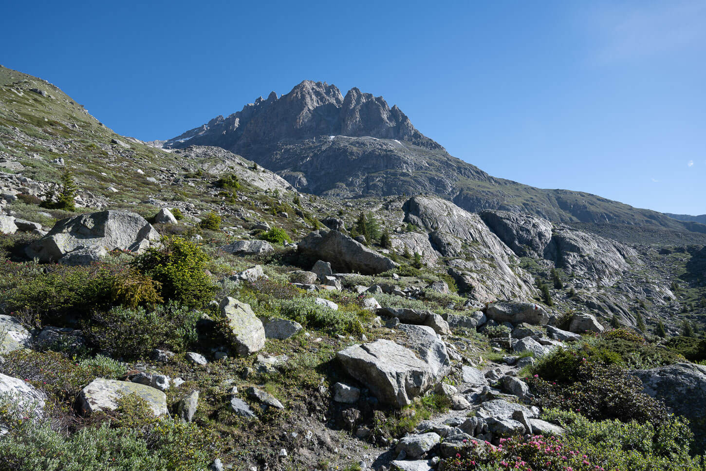 Hiking trail to the Oberaletsch Glacier, on a sunny summer day.