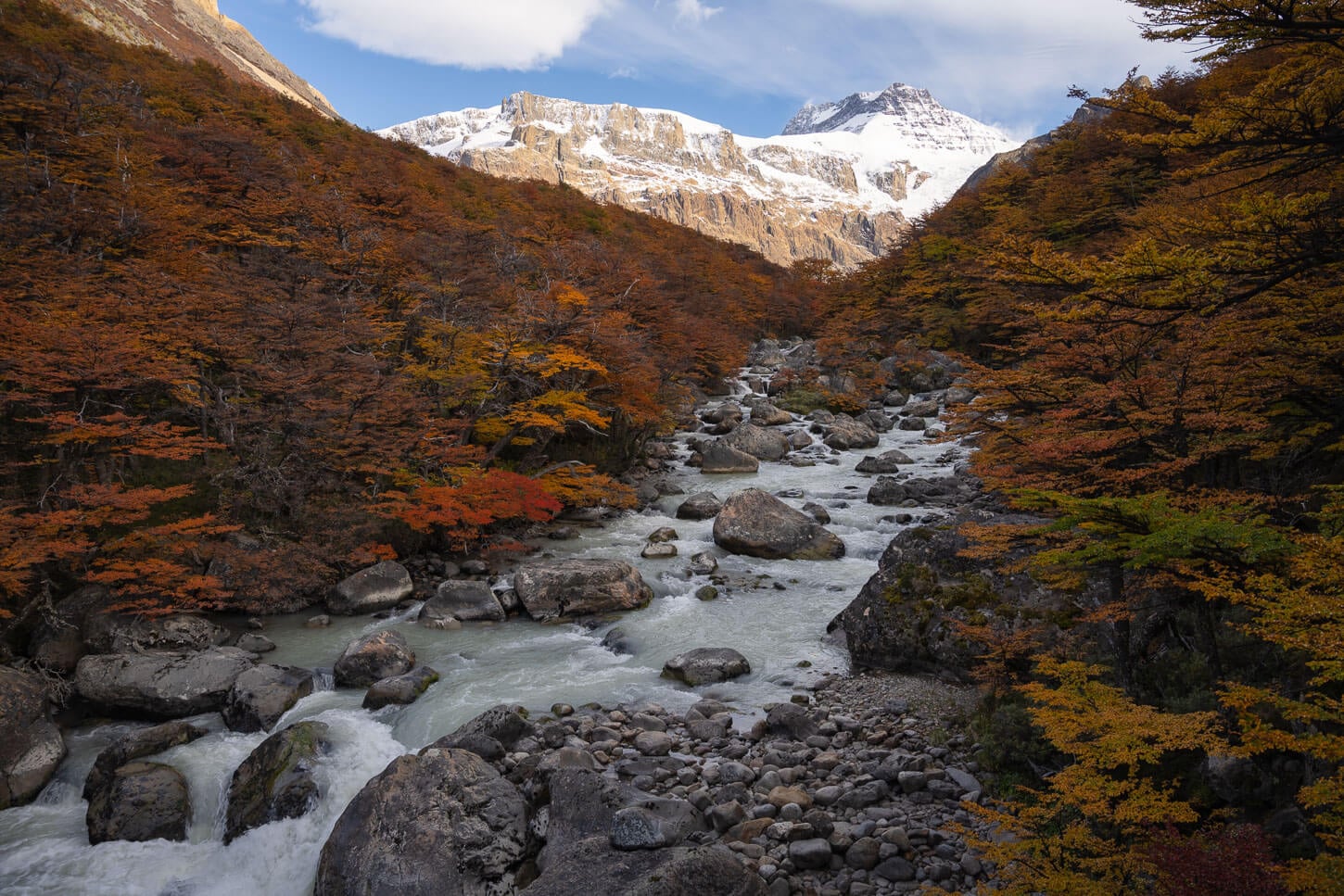 View of the Diablo river cutting through the dense forest of the Los Huemules nature Reserve.