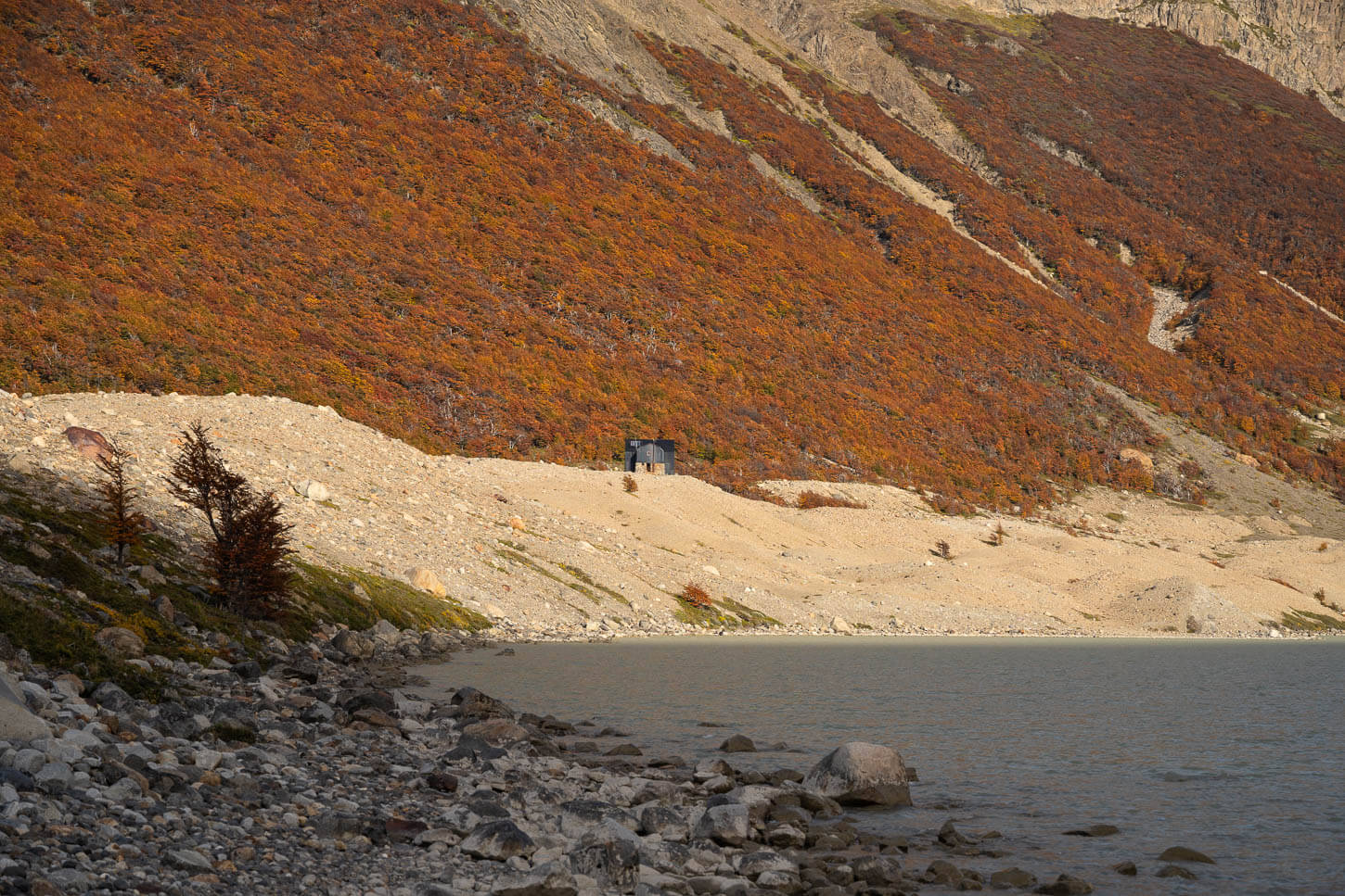 View of Puesto Cagliero in the Distance, with the vibrant autumnal colors of the patagonian forest in the background.