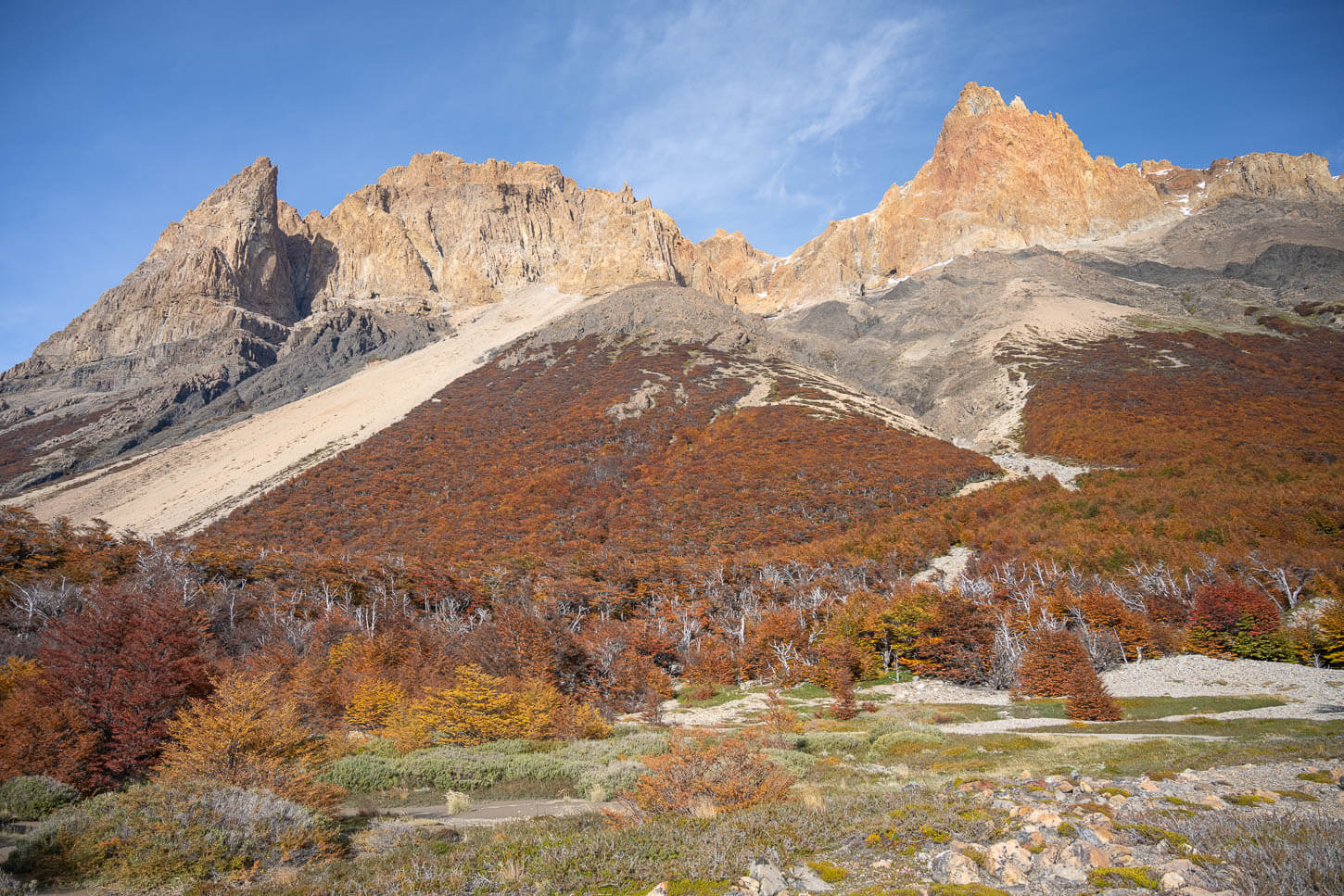 Massive mountains in Patagonia in the Los Huemules Reserve, with jagged peaks towering above the forest.