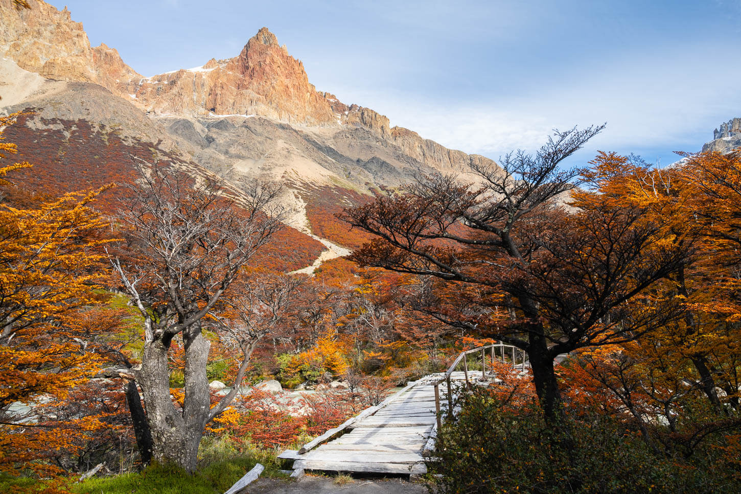 Hiking path on the hike to puesto cagliero through the vibrant colors of the Patagonian foresrt on a suny day in Autumn.