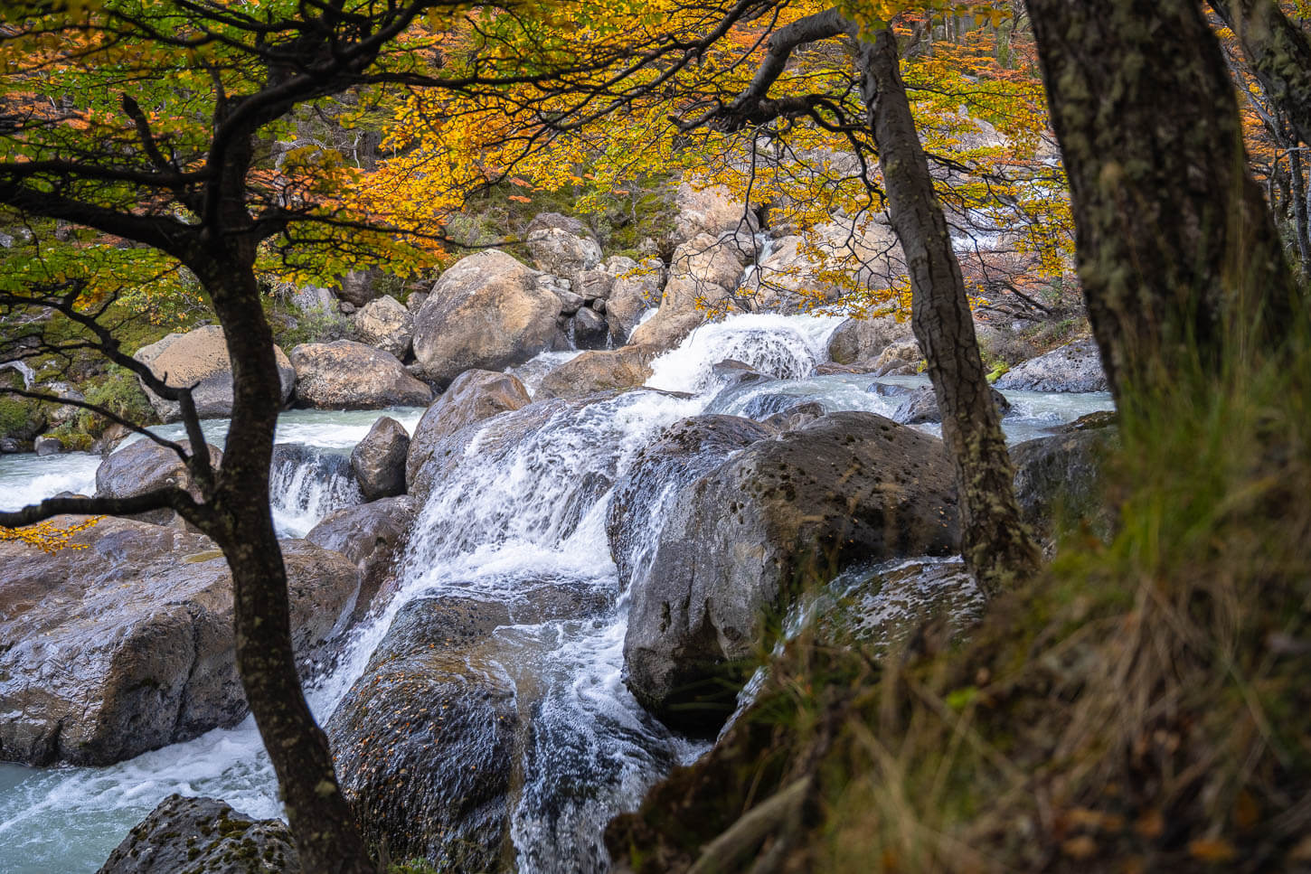 Small waterfall in the Diablo river partly visible through the forest, on the hiking trail to Puesto Cagliero.