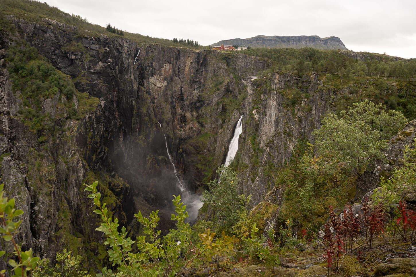 Vestre Utsiktspunkt of the Vøringsfossen waterfall, with the waterfall barely visible in between the cliffs and the bushes.