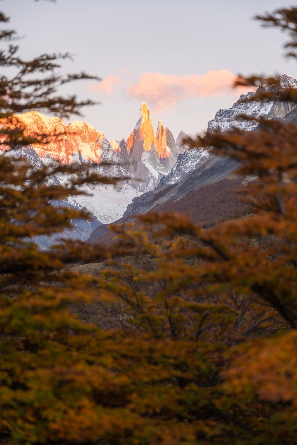 View of Cerro Torre through the foliage, from Mirador Cerro Torre on an early morning