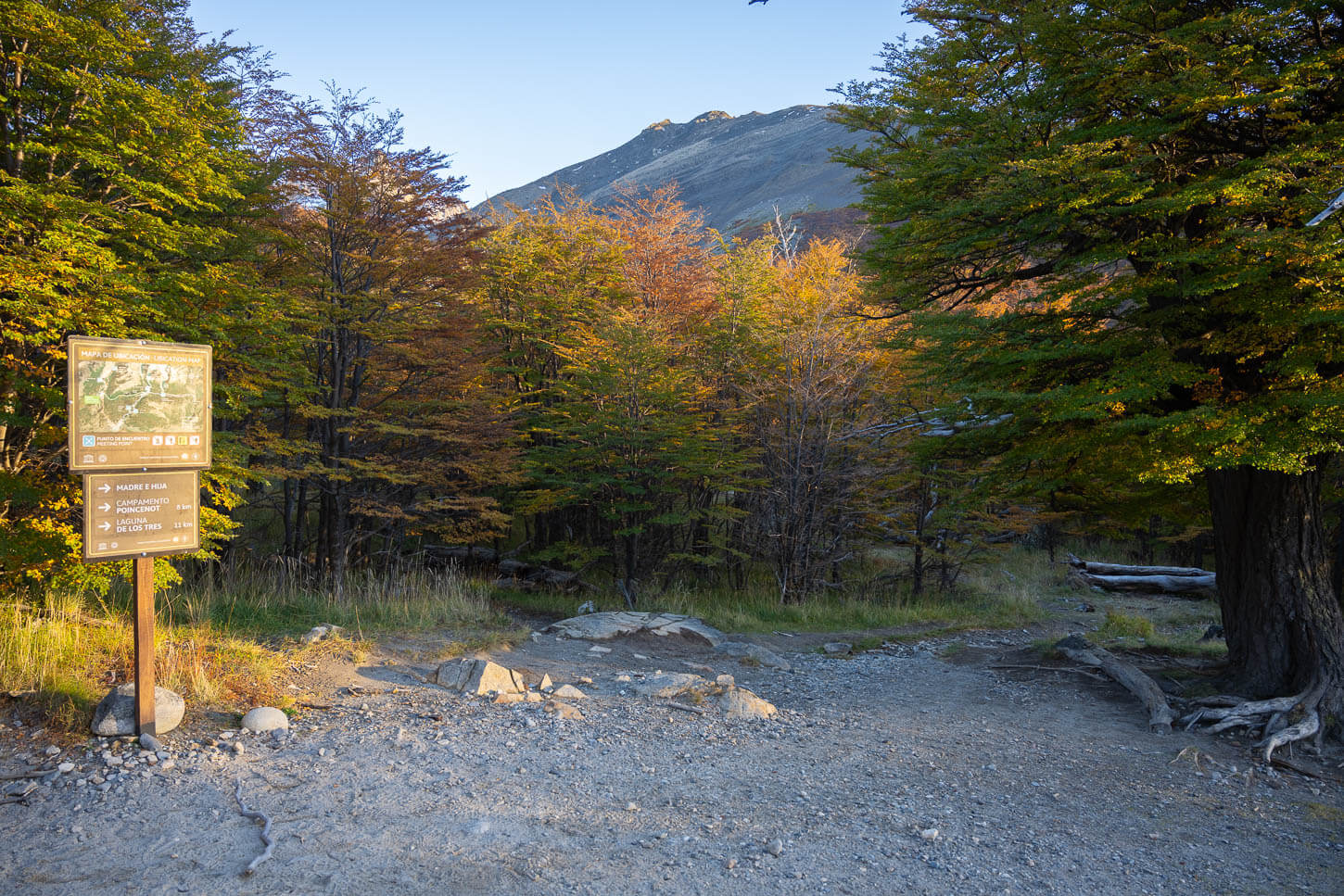 Trail junction between Laguna Torre and Lagunas Mader e Hija, in the patagonian forest.