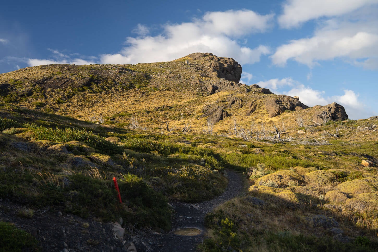 Last stretch of the Mirador condor hiking trail, just velow the viewpoint.