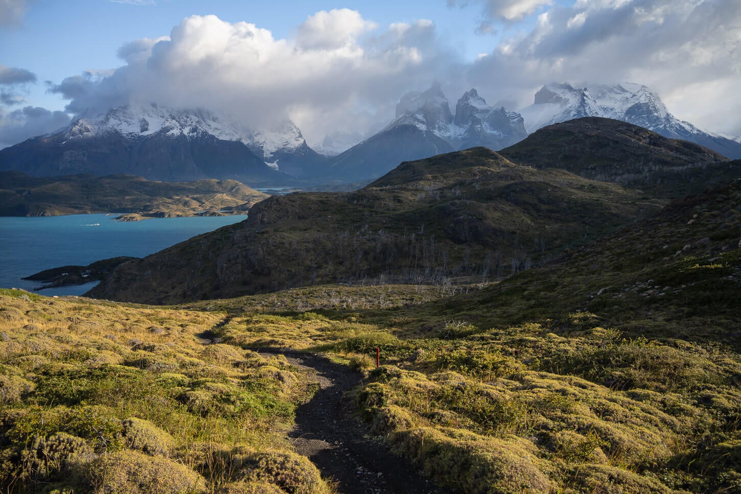 View of the Paine and Cuernos Massif form the hiking trail to Mirador Condor, with the soft morning light shining on the trail.