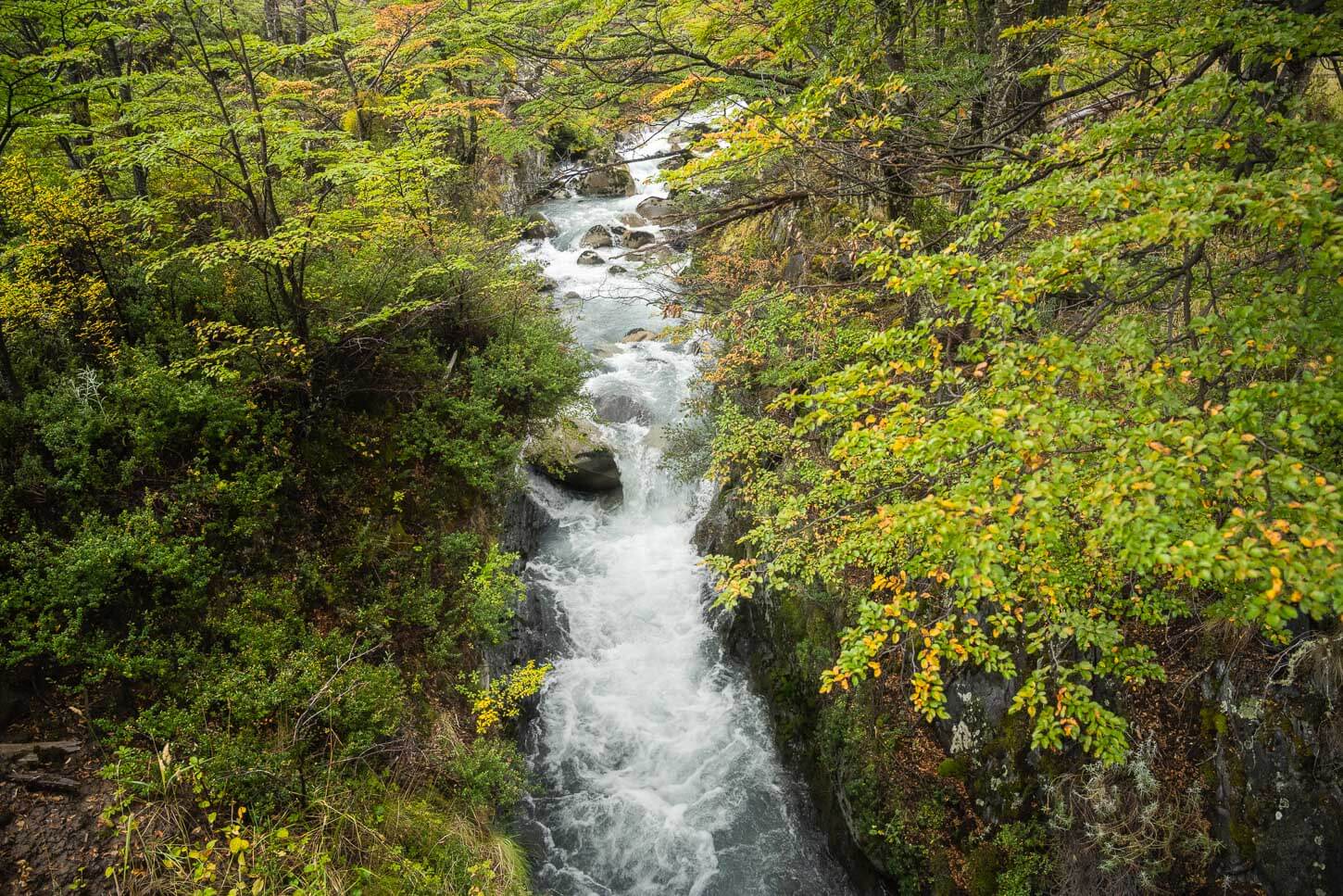 Vire of Rio Olguin immersed in the green forest, Puente Olguin.