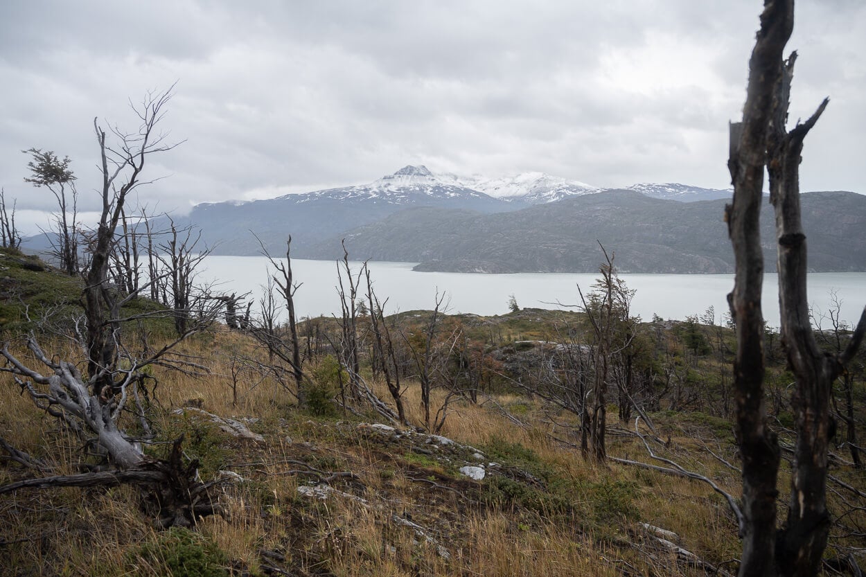 Lago Grey under a cloudy, moody sky.
