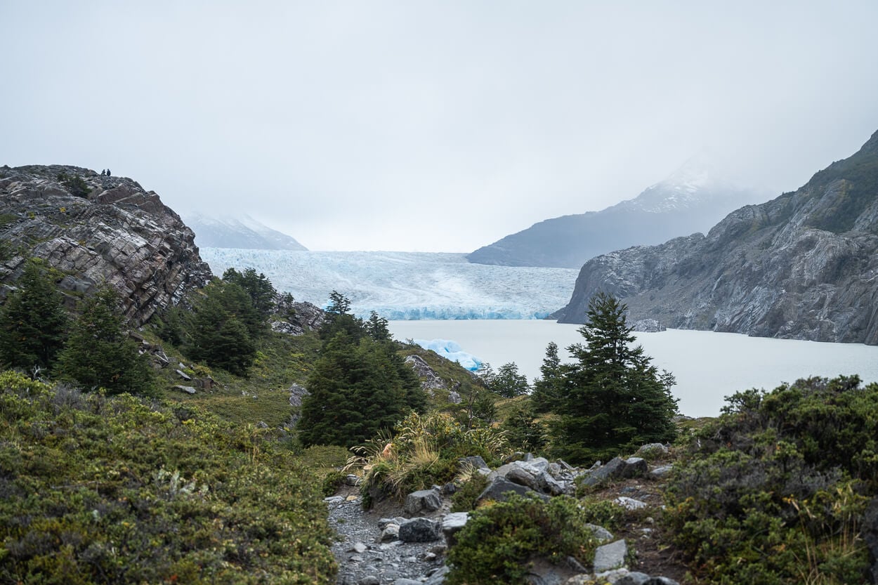 View of Glacier Grey from the trail, bewtween small pine trees and rocks.