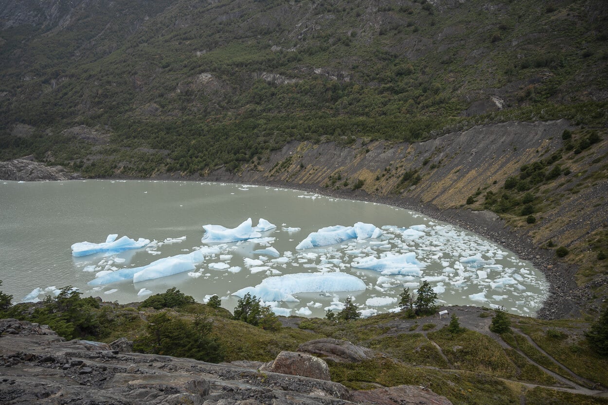 Icebergs in a small inlet next to Mirador Glacier Grey