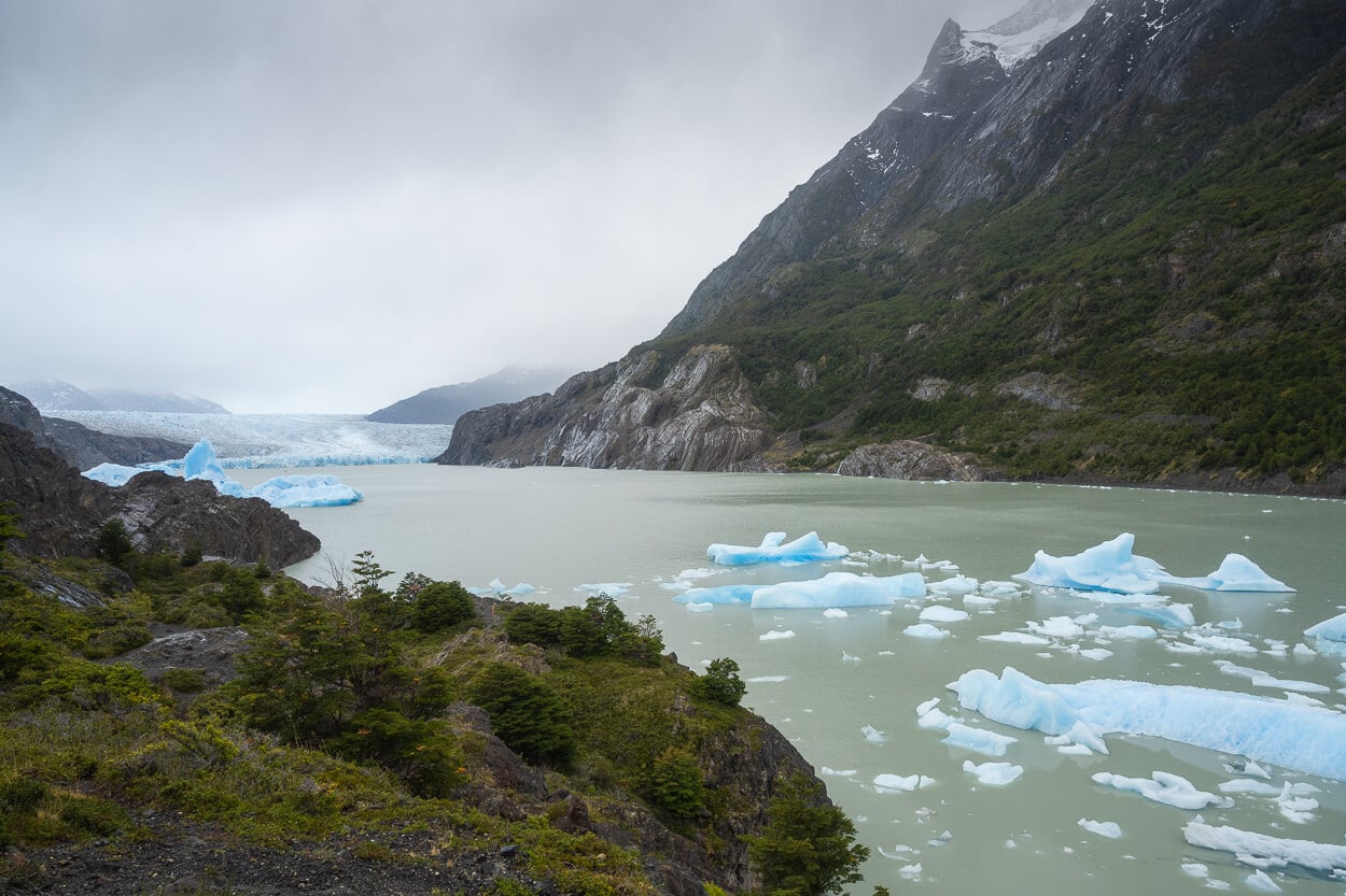 Small icebergs floating in a small inlet next to Mirador Glacier Grey, the end point of the hike