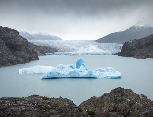Mirador Glacier Grey Hike, Day Hike to Glacier Grey