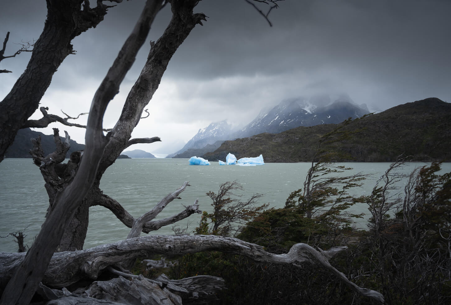 Etheral landscape in torres del paine with Icebergs floating in Lago Grey, under a dramatic sky with soft light