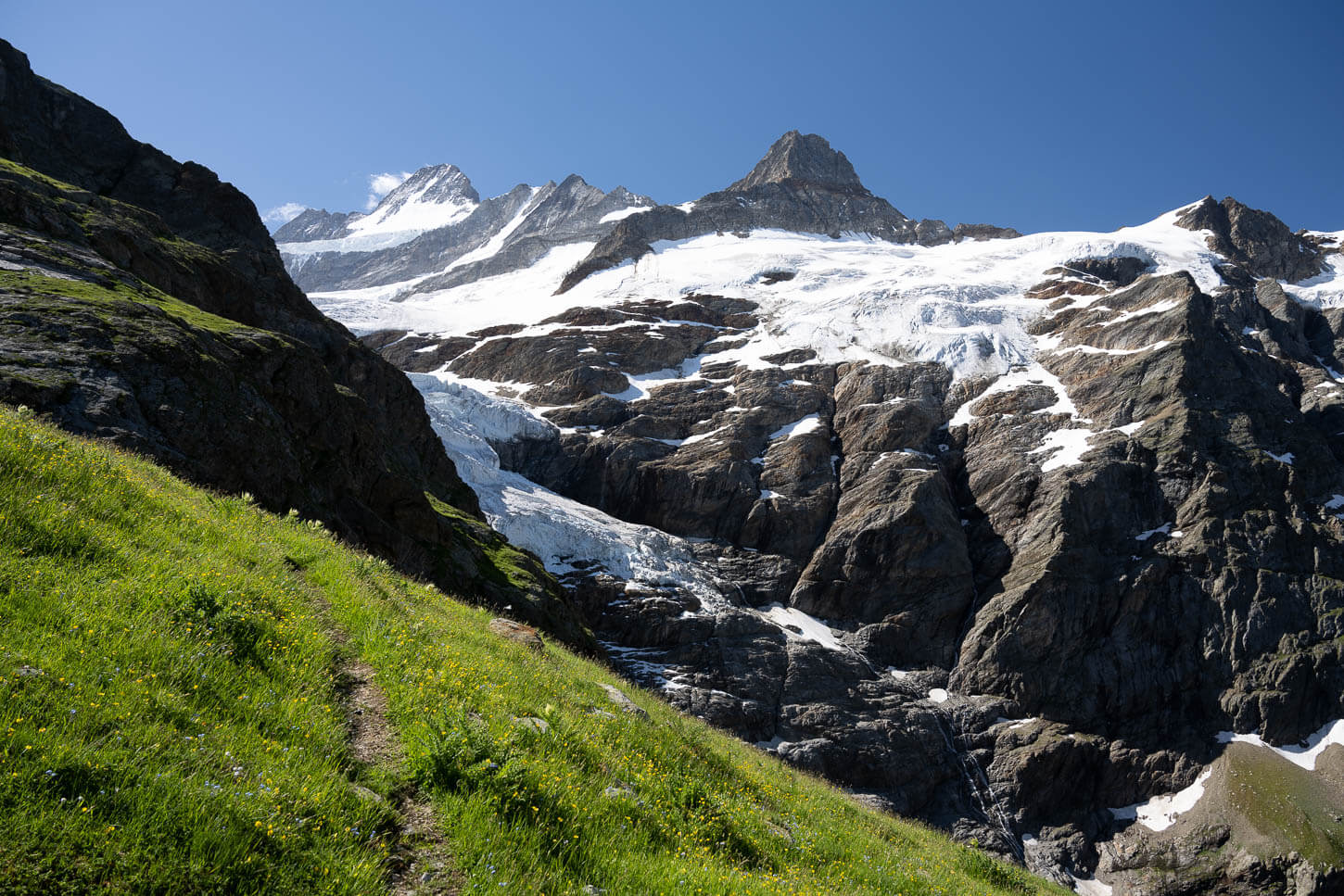 BeesiBärgli trail with the Grindelwald glacier in the background.