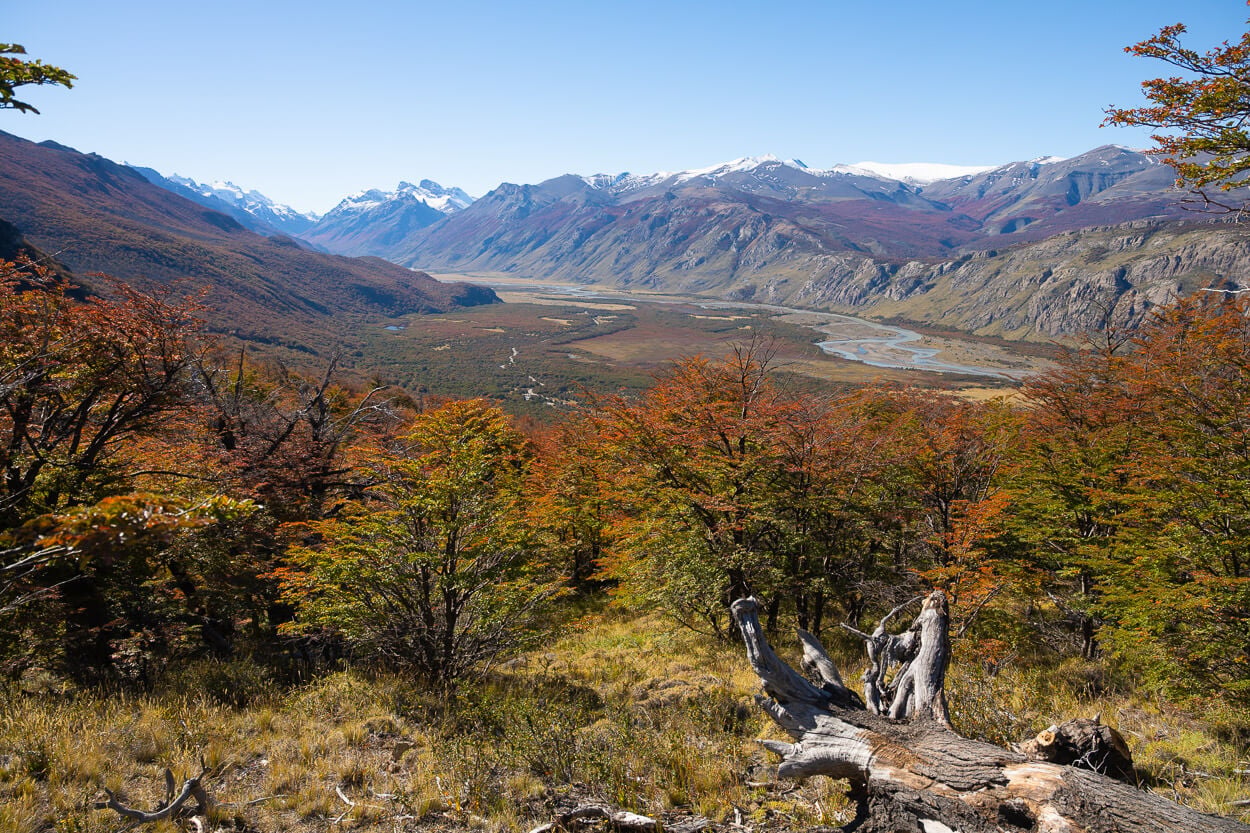 panoramic view of the Patagonian landscape in autumn, on a clear sunny day.