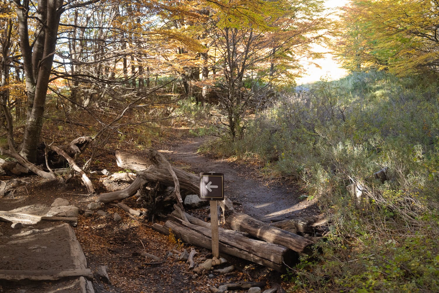Laguna Sucia Trailhead in the forest, an unmarked trail