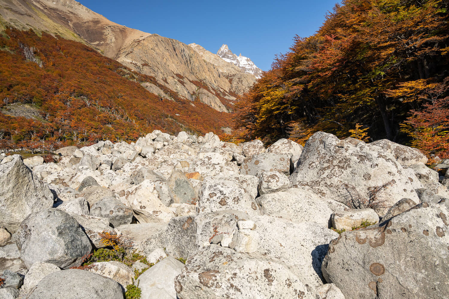 Big boulders on a riverbed on a hiking trail in Patagonia